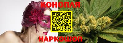 гашик Тара