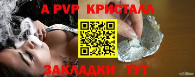 гашик Тара