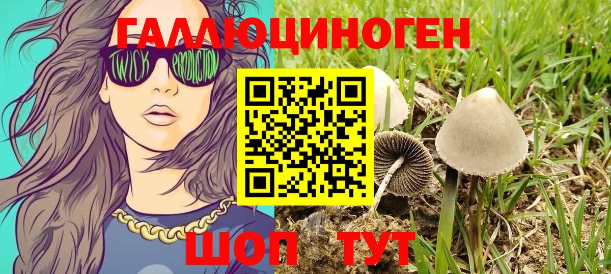 Электросталь  Галлюциногенные грибы ЛСД  Вход с VPN 